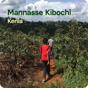 Manasse Kibochi
