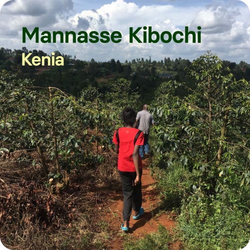Manasse Kibochi