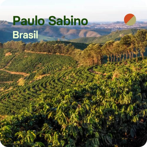 Paulo Sabino, Brasil