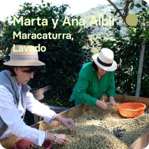 cafe especialidad nicaragua marta y ana albir maracaturra harmony