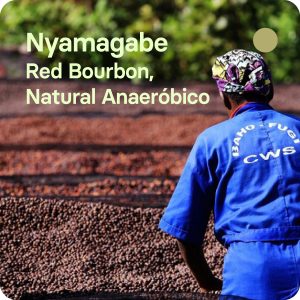 cafe de especialidad ruanda natural