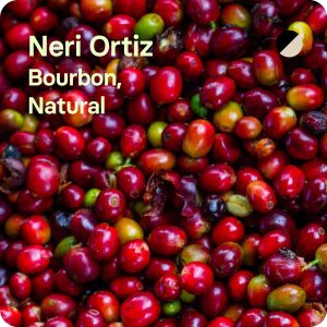 neri ortiz cafe de especialidad