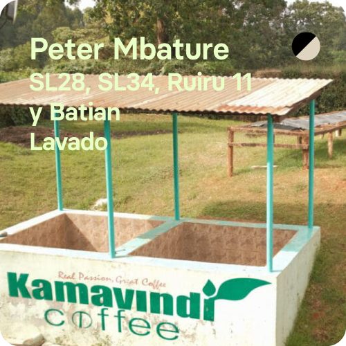 café de especialidad de kenia