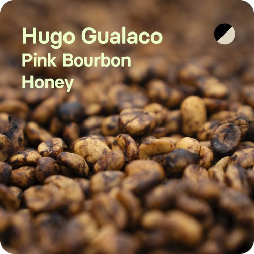 Café de especialidad de Hugo Gualaco