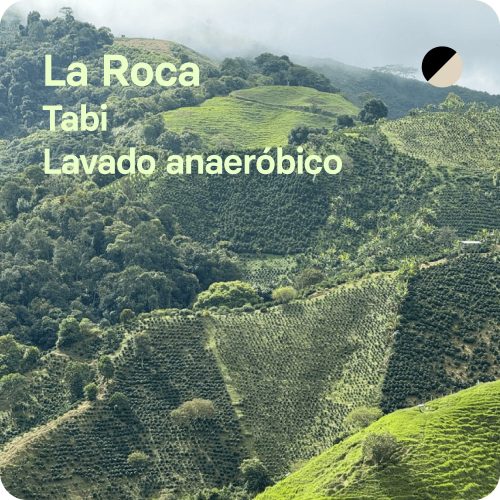 Café de especialidad de La Roca