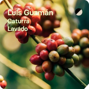 Café de especialidad de Luís Guzmán