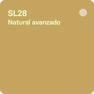 Café de especialidad sl28