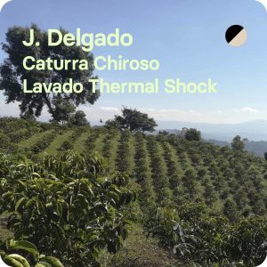 Café de especialidad J.Delgado