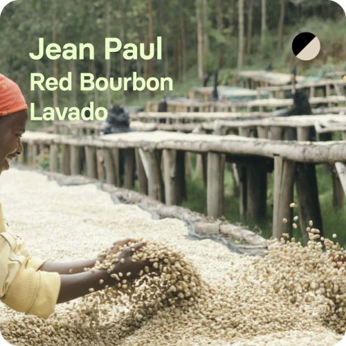 Café de especialidad Jean Paul