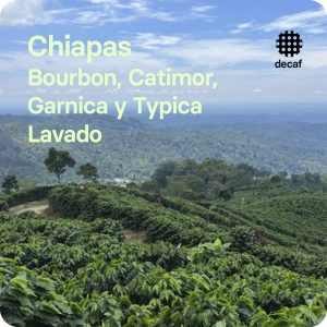 café de epecialidad descafeinado