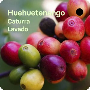 Café de especialida de Guatemala