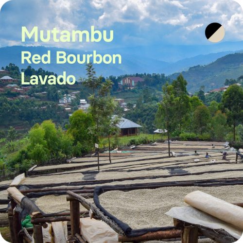 Café de especialidad Mutambu