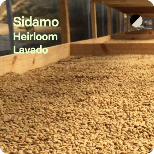 Café de especialidad de Sidamo