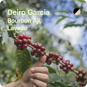 Café de especialidad de Deiro Garcia