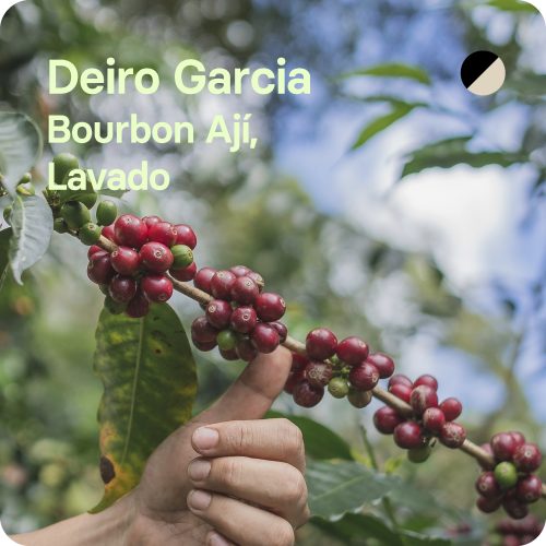 Café de especialidad de Deiro Garcia