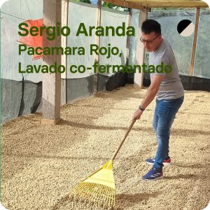 CAFÉ DE ESPECIALIDAD DE SERGIO ARANDA
