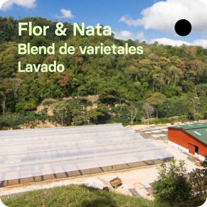 Café de especialidad de Nicaragua