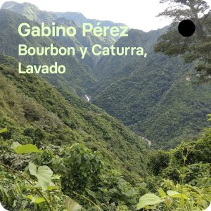 Café de especialidad de Gabino
