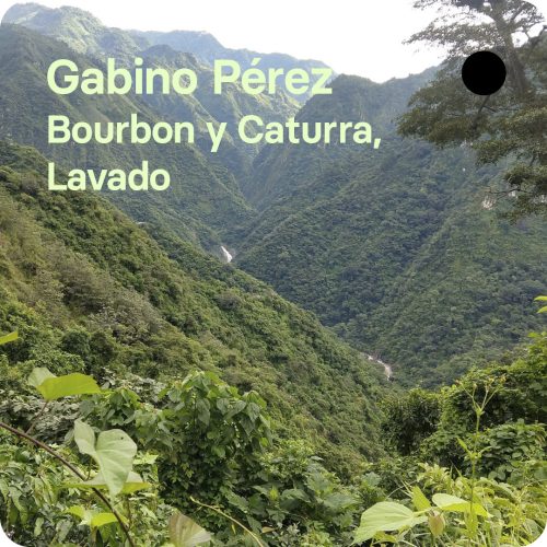 Café de especialidad de Gabino