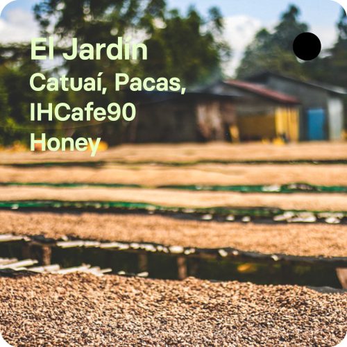 Café de especialidad de Honduras