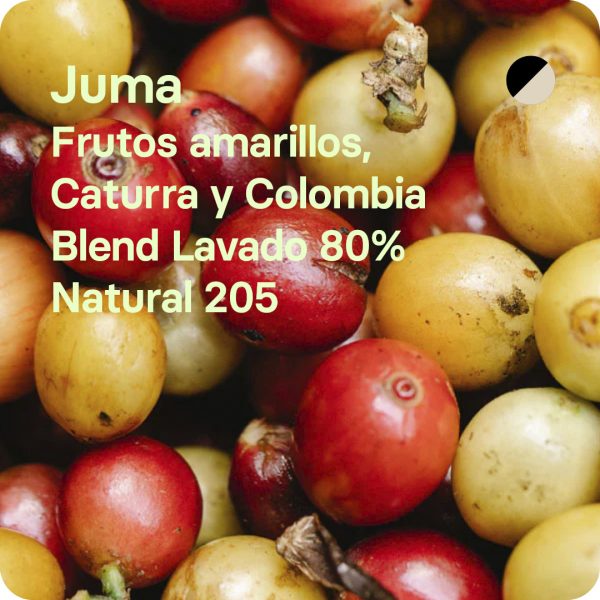 Café de especilaidad Blend