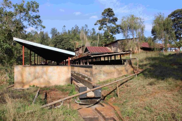Nyeri, Kenia - Imagen 3