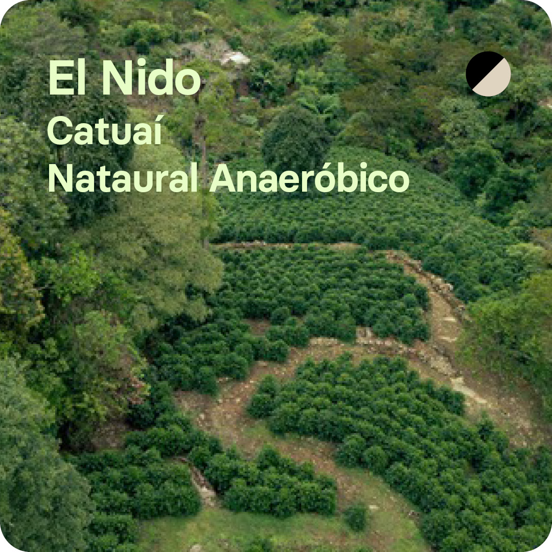 Café de especialidad de El Nido