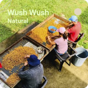 Café de especialidad Wush Wush