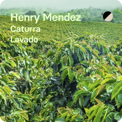 café de especialidad henry mendez