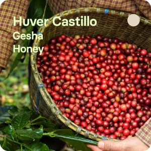 CAFE DE ESPECIALIDAD GESHA