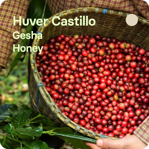 CAFE DE ESPECIALIDAD GESHA