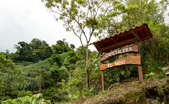 El Nido, Costa Rica - Imagen 3