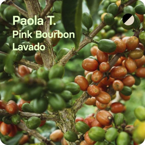 café de especialidad paola trujillo