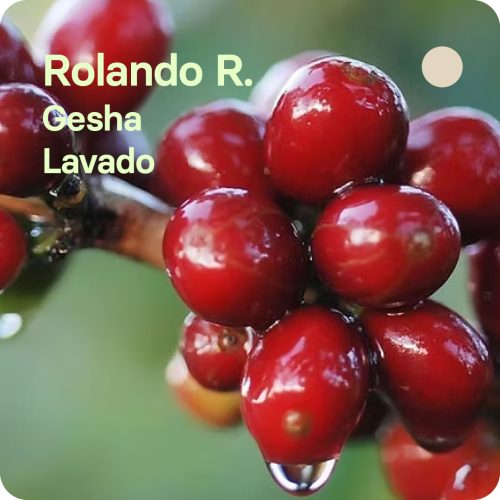 Café de especialidad de Brisas del Táchira