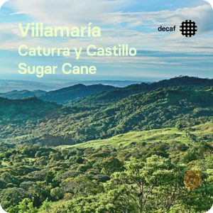 Café de especialidad descafeniado