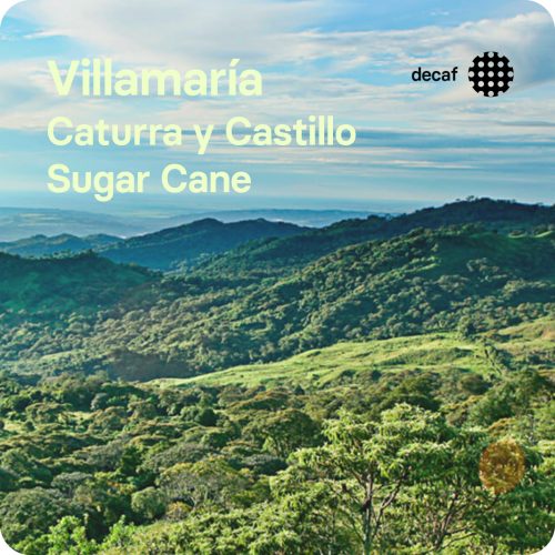 Café de especialidad descafeniado