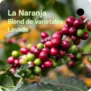 Café de especialidad de La Naranja