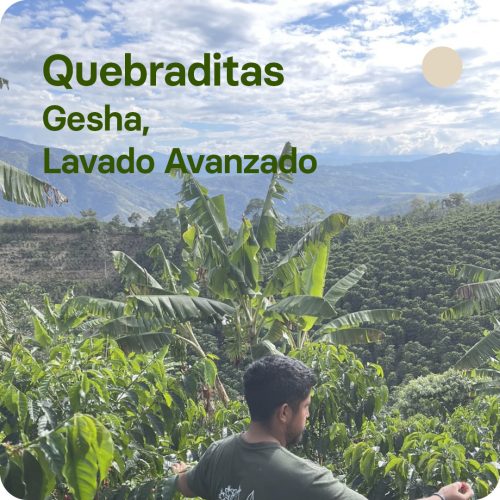 Café de especilaidad de Edinson