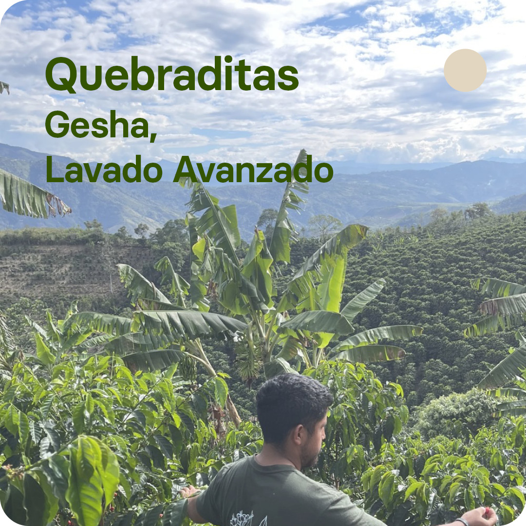 Café de especilaidad de Edinson