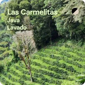 café de especialidad Las Carmelitas