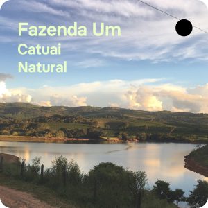Fazenda Um, Brasil