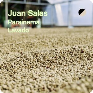 Café de especialidad Juan Salas