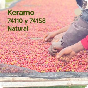 Café de especialidad de Keramo