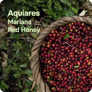 Aquiares, Costa Rica