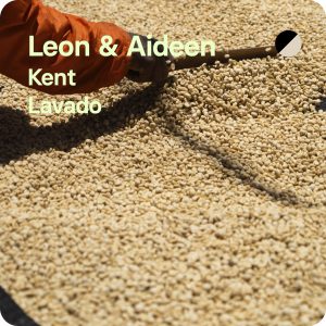 Café de especialidad Leon y Aideen