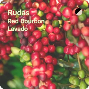 Café de especialidad Rudas