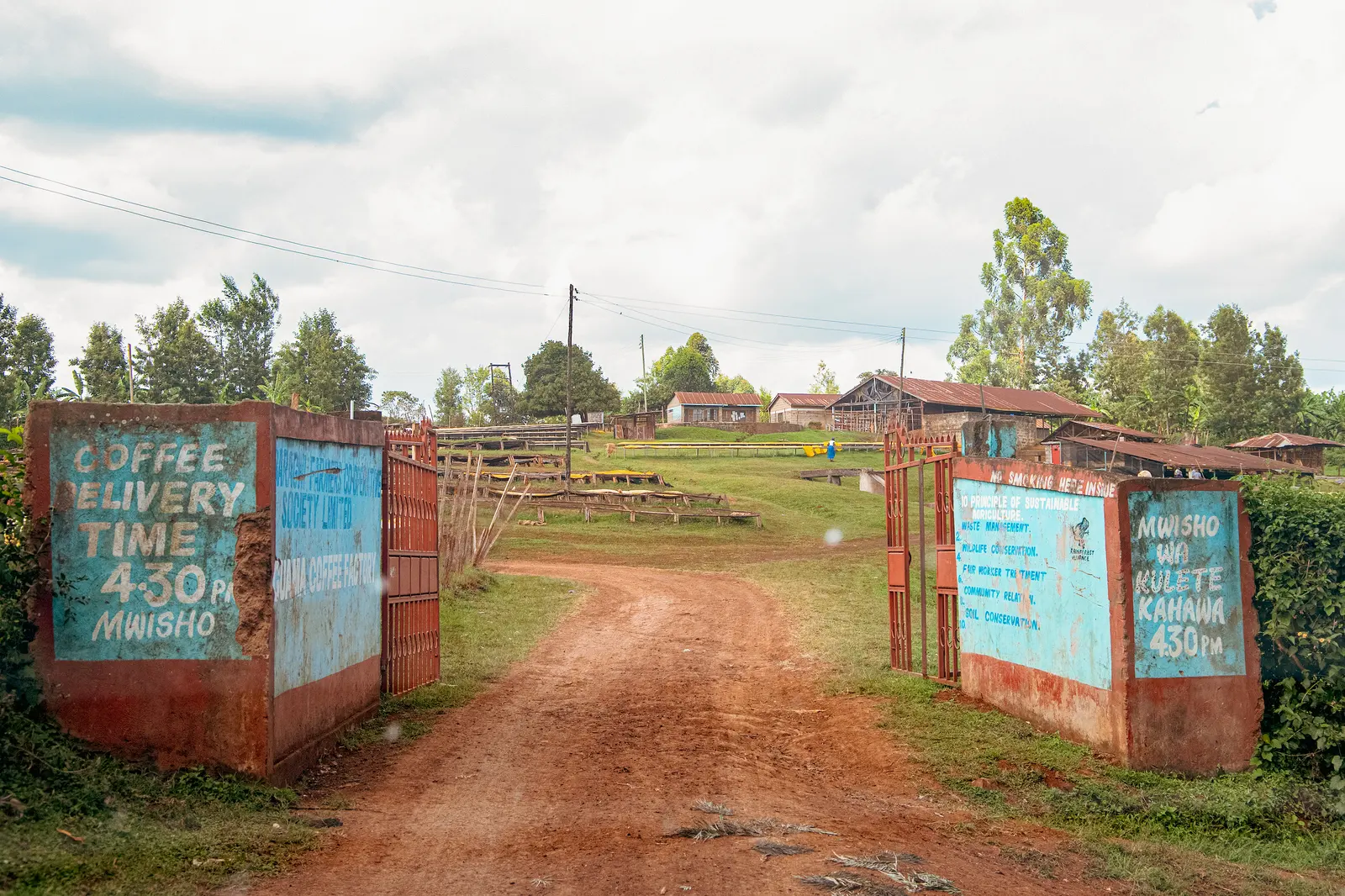 Guama, Kenia - Imagen 2